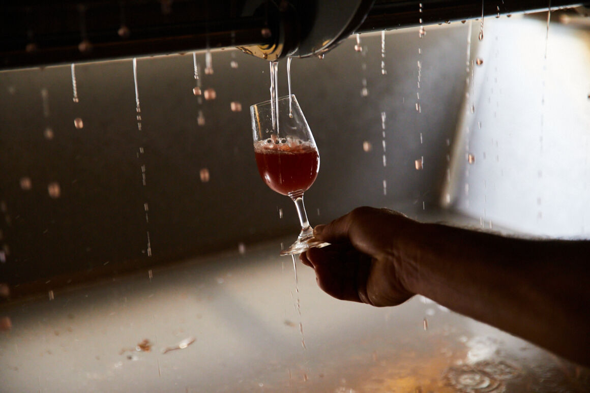 photographe reportage montpellier vendanges vigne bretagne