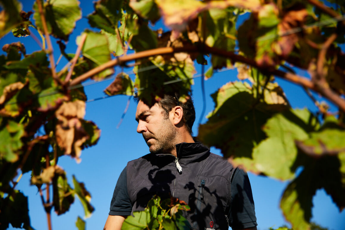 photographe reportage montpellier vendanges vigne bretagne
